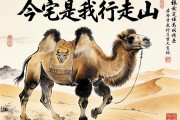駝峰是我行走的山