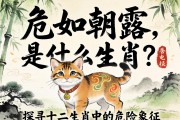危如朝露是什么生肖？探尋十二生肖中的危險象征