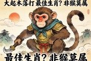 大起大落打一最佳生肖？非猴莫屬