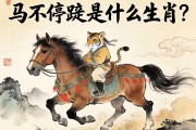 馬不停蹄是什么生肖?