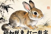 動如脫兔打一數(shù)字