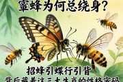 蜂蝶為何總繞身？招蜂引蝶背后藏著這三大生肖的性格密碼