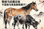 鞍前馬后藏玄機(jī)，不是駿馬，竟是俯首孺子牛？