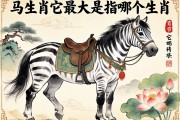 特馬生肖它最大是指哪個生肖