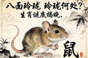 八面玲瓏，玲瓏何處？生肖謎底揭曉，鼠