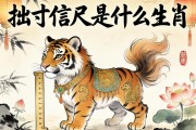 詘寸信尺是什么生肖