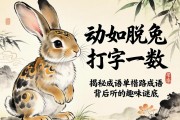 動(dòng)如脫兔打一數(shù)字，揭秘成語背后的趣味謎底