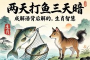 兩天打魚(yú)三天網(wǎng)暗指哪個(gè)生肖？解讀成語(yǔ)背后的生肖智慧