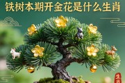 鐵樹本期開金花是什么生肖