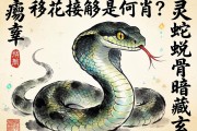 移花接木是何肖？靈蛇蛻骨暗藏玄