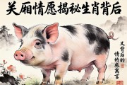 一廂情愿，揭秘生肖豬背后的情感寓言