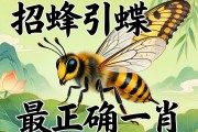 招蜂引蝶最正確一肖
