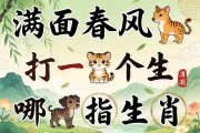 滿面春風(fēng)打一個(gè)生肖指哪個(gè)生肖