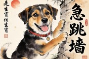 狗急跳墻是什么生肖